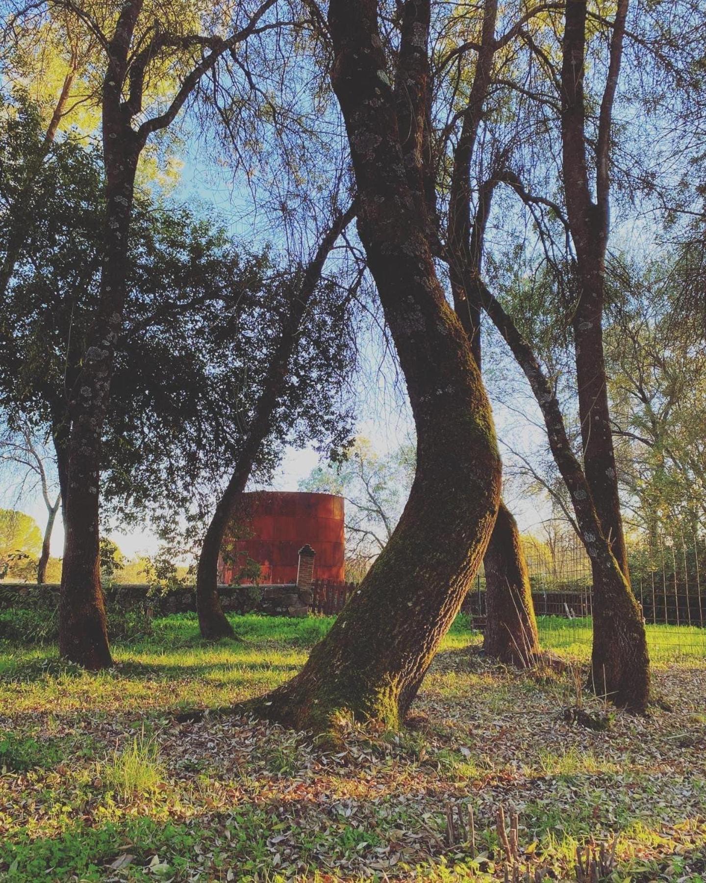 Apartmán La Resinera La Adrada Exteriér fotografie