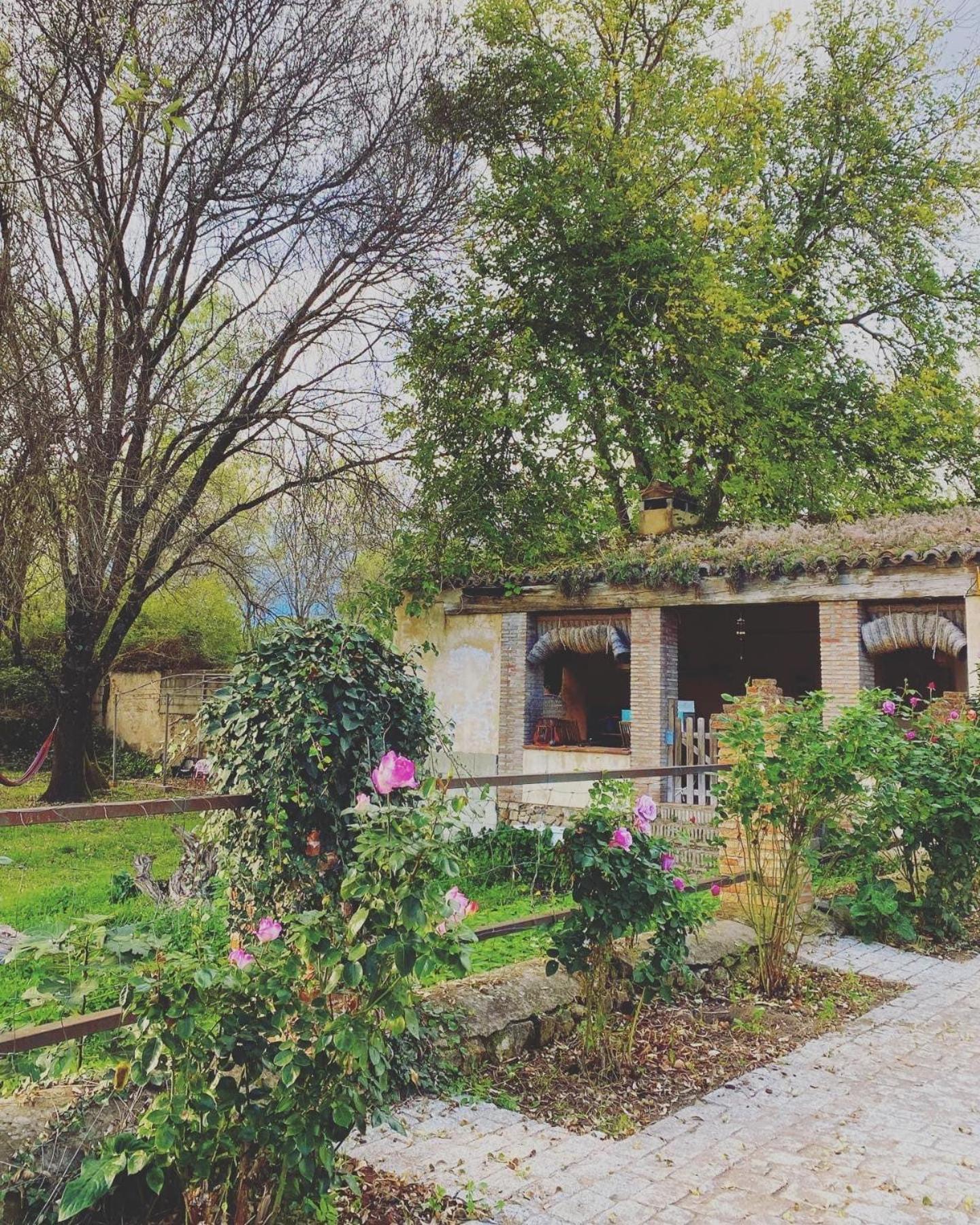 Apartmán La Resinera La Adrada Exteriér fotografie